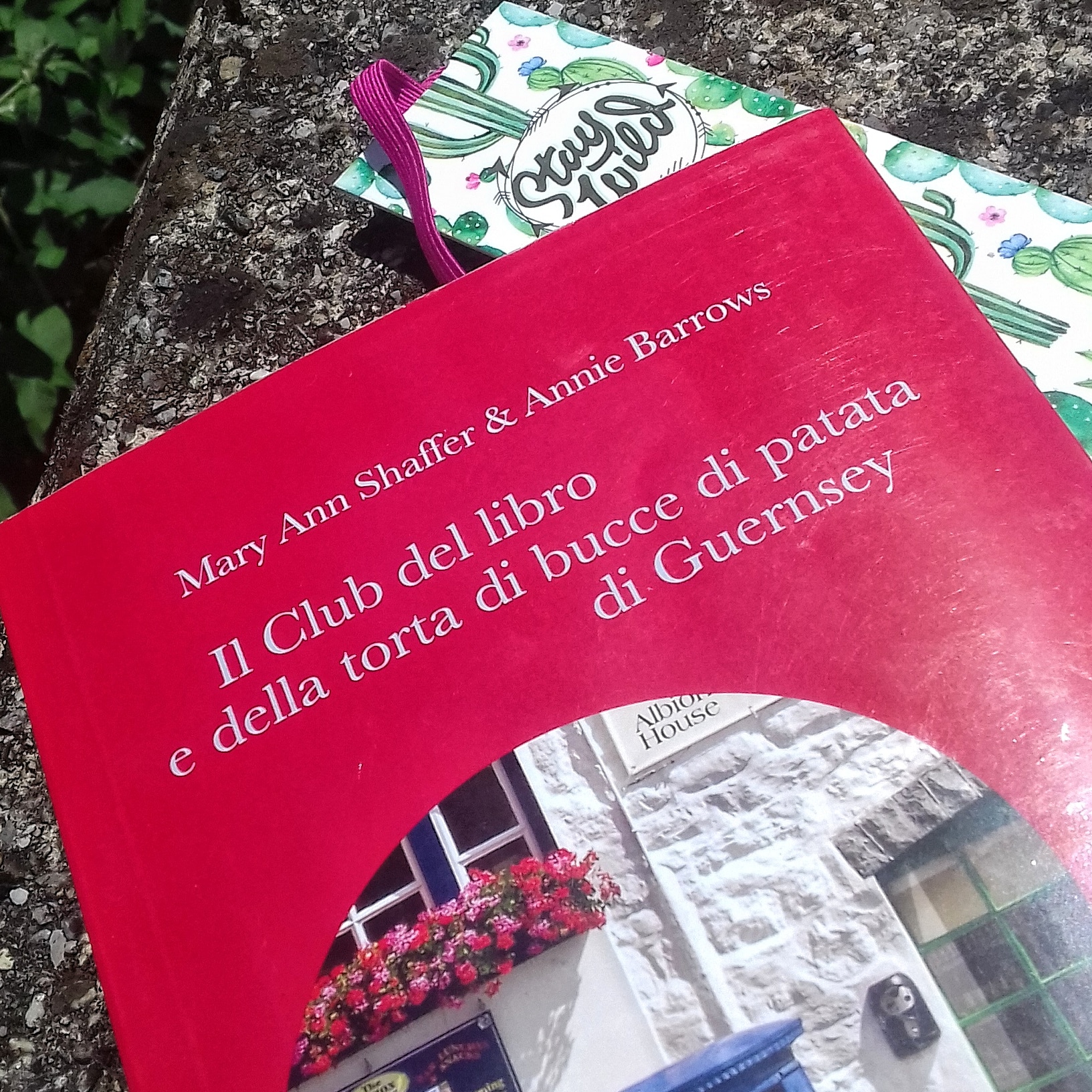 IMG_20180605_133735_037